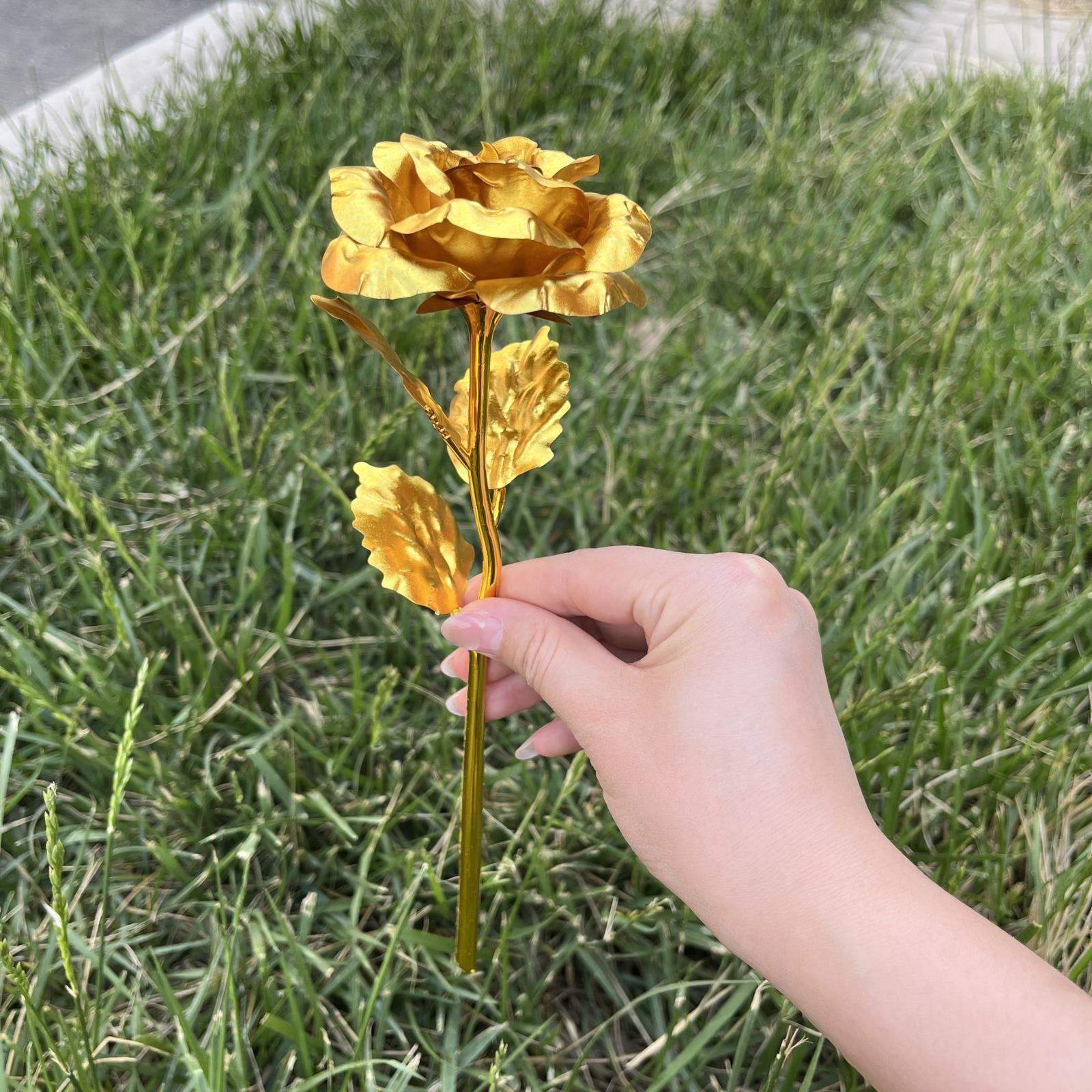 1:1 Red Wolf Etched Gold Rose Model Delta Force Collector's Figure