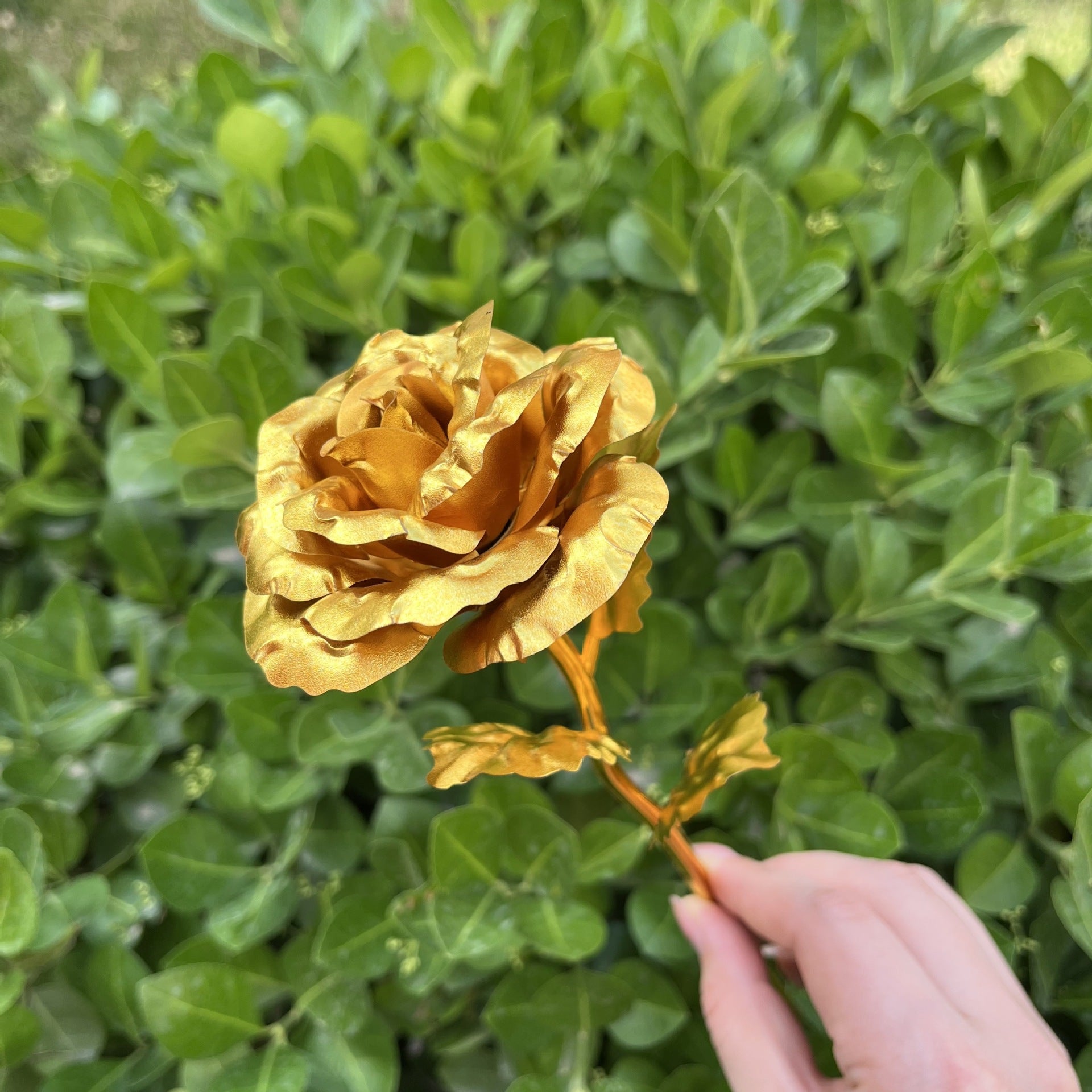 1:1 Red Wolf Etched Gold Rose Model Delta Force Collector's Figure